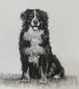 Jock in charcoal